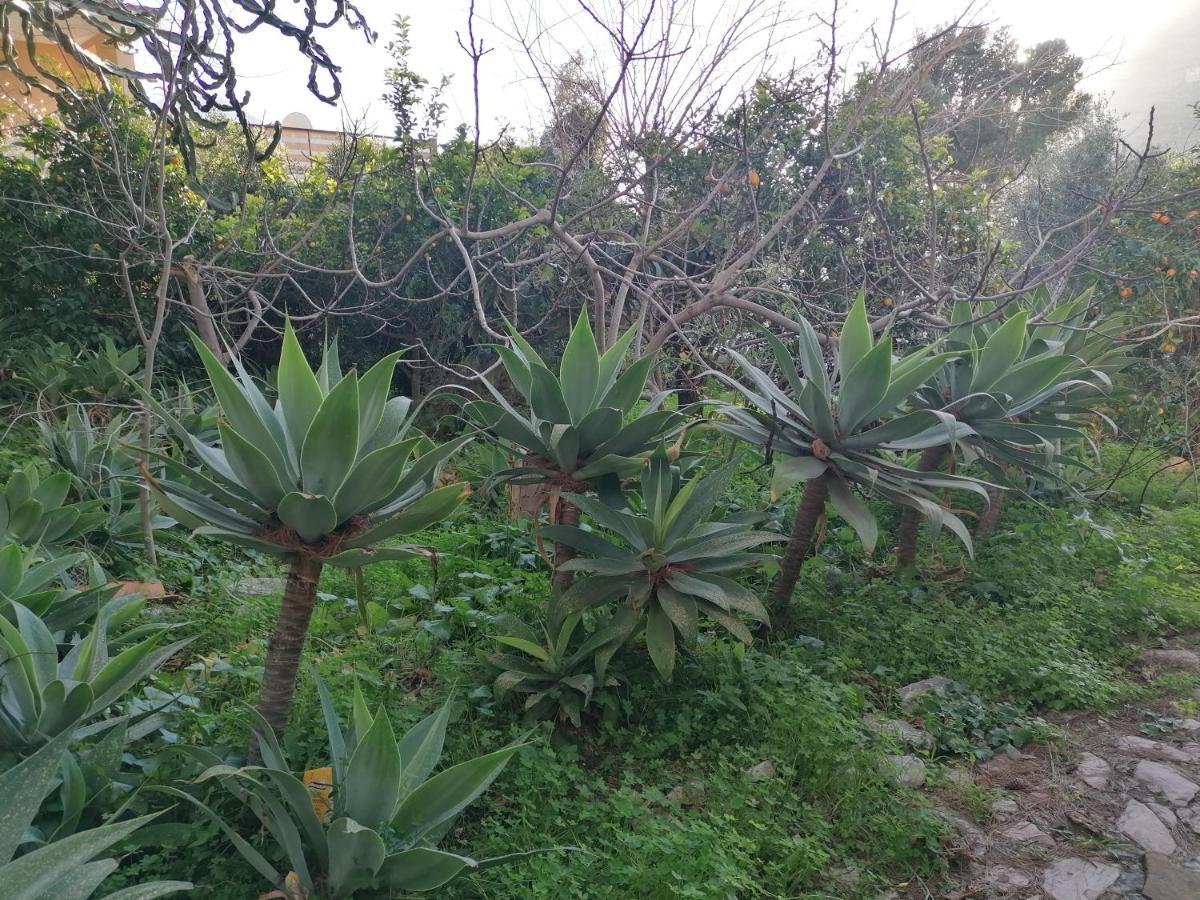 Villa Africa Капачі Екстер'єр фото